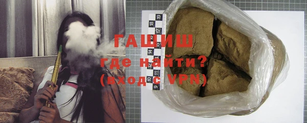мдпв Гусев