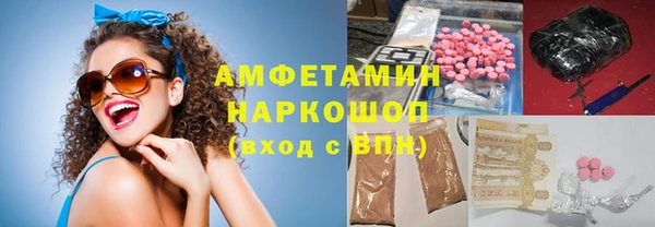мдпв Гусев