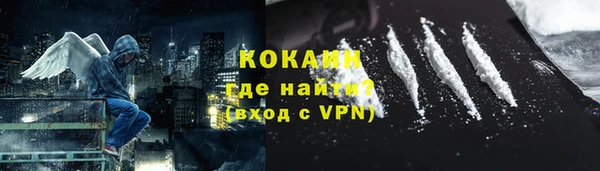 мдпв Гусев