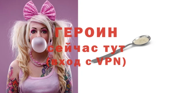 мдпв Гусев
