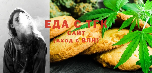 мдпв Гусев