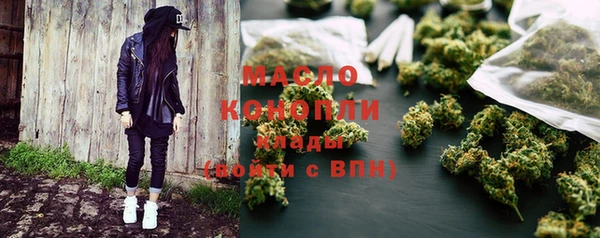 мдпв Гусев
