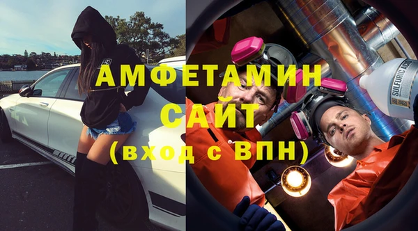 мдпв Гусев