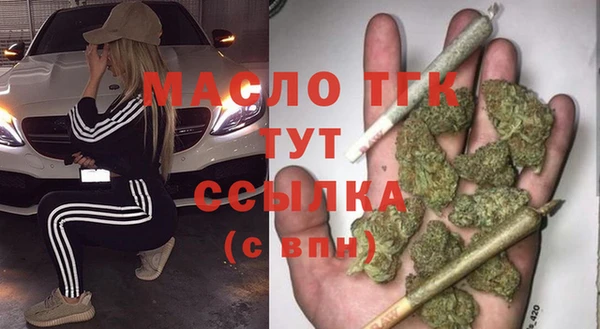 мдпв Гусев