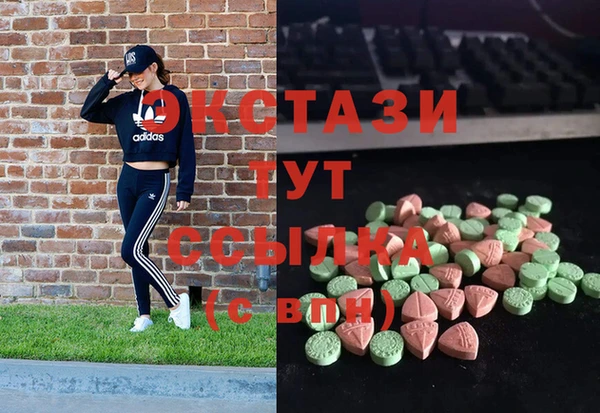 мдпв Гусев