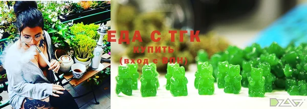 мдпв Гусев