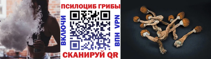 Галлюциногенные грибы MAGIC MUSHROOMS  Купить закладки  Нерюнгри 